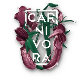 Carnívora